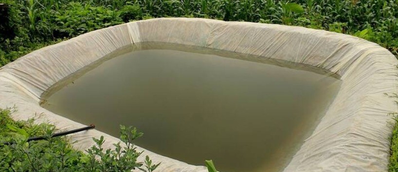 Rainwater Harvesting: A Simple Method to Save Water
